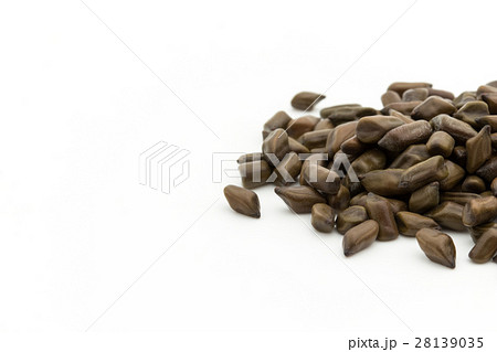 決明子（ケツメイシ）: Seeds of Senna obtusifolia 28139035