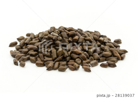 決明子（ケツメイシ）: Seeds of Senna obtusifolia 28139037