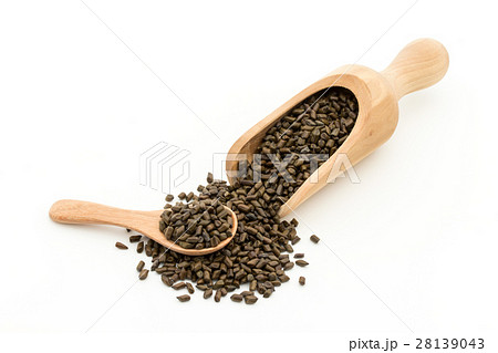 決明子（ケツメイシ）: Seeds of Senna obtusifolia 28139043