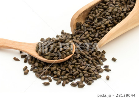 決明子(ケツメイシ): Seeds of Senna obtusifolia 決明子(ケツメイシ): Seeds of Senna obtusifolia 28139044