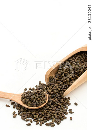 決明子(ケツメイシ): Seeds of Senna obtusifolia 決明子(ケツメイシ): Seeds of Senna obtusifolia 28139045