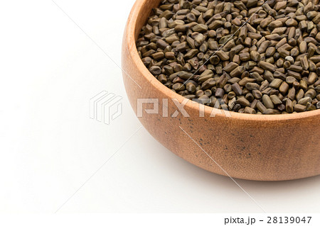 決明子（ケツメイシ）: Seeds of Senna obtusifolia 28139047