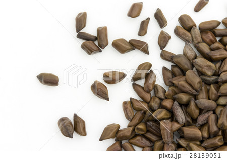 決明子（ケツメイシ）: Seeds of Senna obtusifolia 28139051