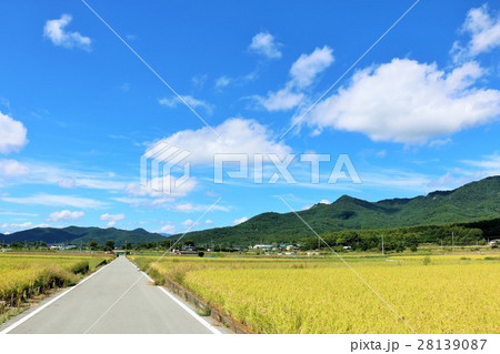 秋晴れの青空と田んぼ風景 28139087
