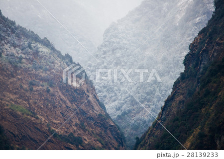 snow falling down to forest on the mountain 28139233