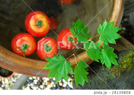 Japan Gifu Prefecture Okuhida Wenquan Township Suimeikan Karukaya Sanso Japan Gifu Prefecture Okuhida Wenquan Township Suimeikan Karukaya Sanso 28139808