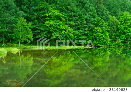 長野_新緑の御射鹿池 28140623