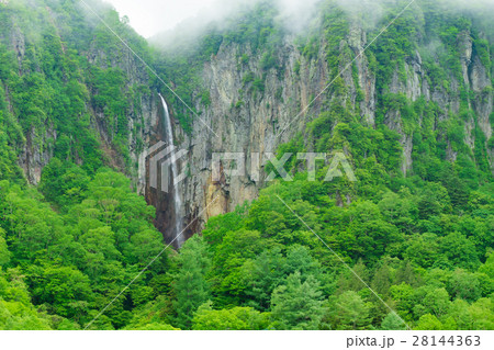 長野_新緑の米子大瀑布 28144363