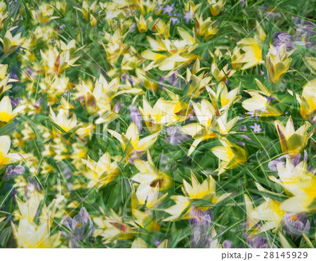 きれい 美しい 綺麗 28145929