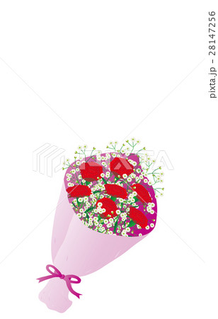 花束カーネーション 28147256