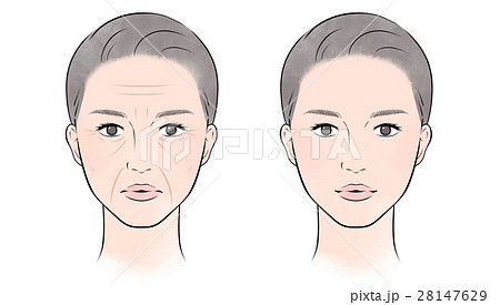 シワのある女性、ない女性　正面 28147629