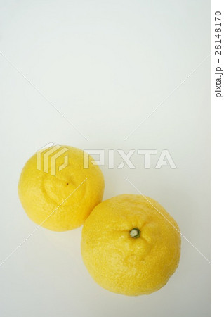 はるか　みかん 28148170