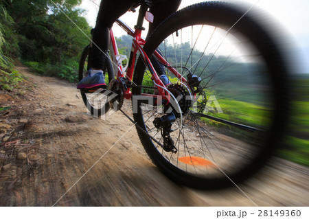 riding mountain bike on sunrise forest trial 28149360
