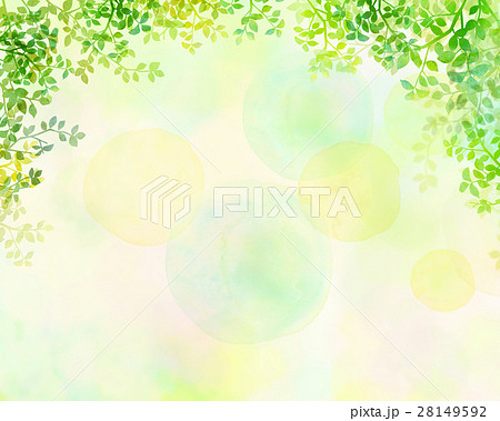 木漏れ日　テクスチャー　背景素材 28149592