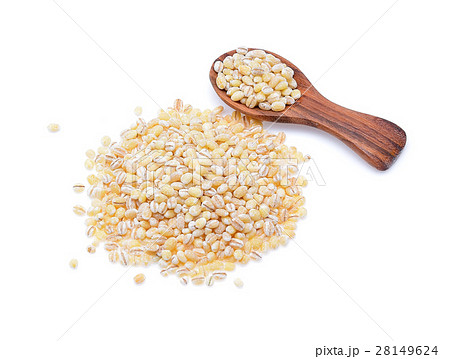 Barley grains isolated on white background Barley grains isolated on white background 28149624