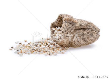millet grains on white background 28149625