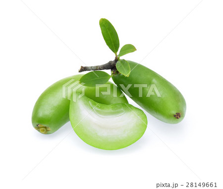 Fresh garcinia sour flavor the tropical Thai herb, Fresh garcinia sour flavor the tropical Thai herb, 28149661