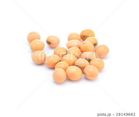 Soybeans isolate on white background. Soybeans isolate on white background. 28149662
