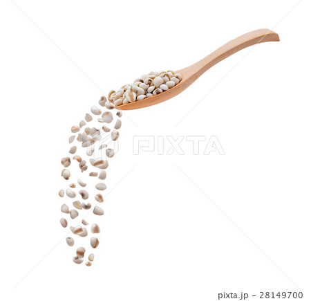 millet grains on white background 28149700