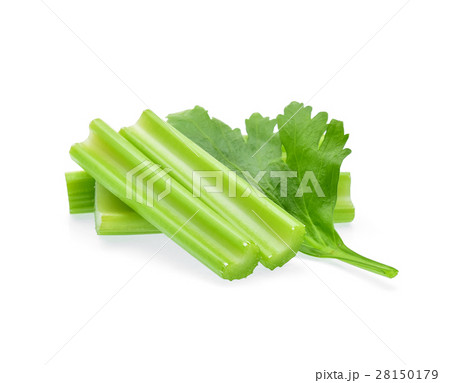 Celery isolated on white background 28150179
