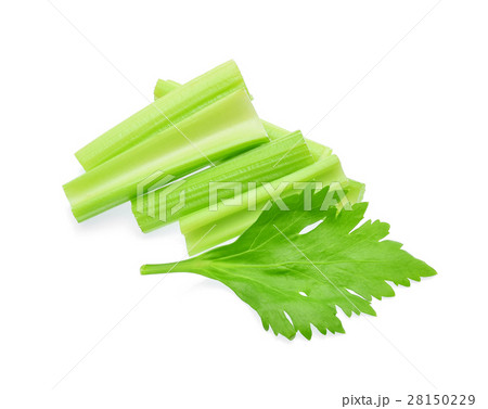 Celery isolated on white background Celery isolated on white background 28150229