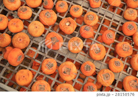 drying persimmon fruits 28150576