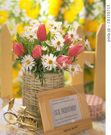 きれい 美しい 綺麗 28150715