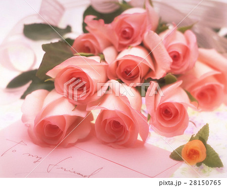 ブルーミング 開花 咲く 28150765