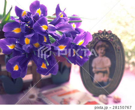 きれい 美しい 綺麗 28150767