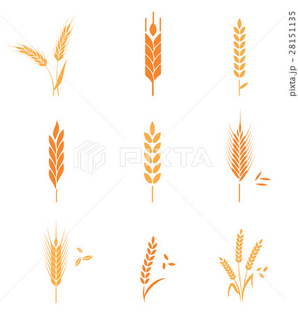 Cereals icon set with wheat. 28151135