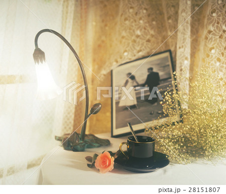 きれい 美しい 綺麗 28151807