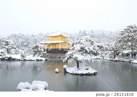 雪の金閣寺 雪の金閣寺 28151816