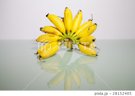 Yellow real banana for product photograhy Yellow real banana for product photograhy 28152405