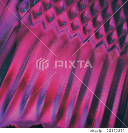 透明 透き通る 澄んだ 28152852