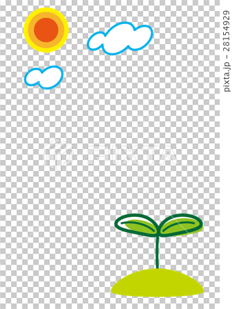 芽生え 芽生え 28154929