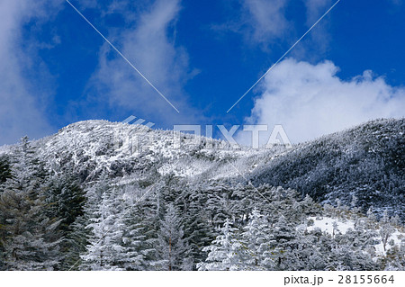 長野　冬の北八ヶ岳 28155664