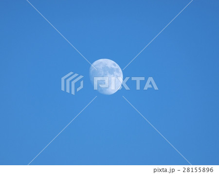 青空の中の月 青空の中の月 28155896
