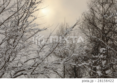 雪景色 雪景色 28156422