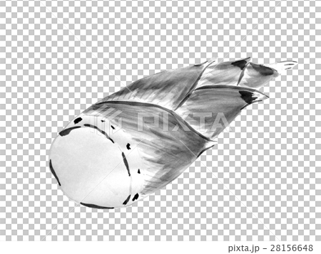 たけのこの墨のイラストのイラスト素材