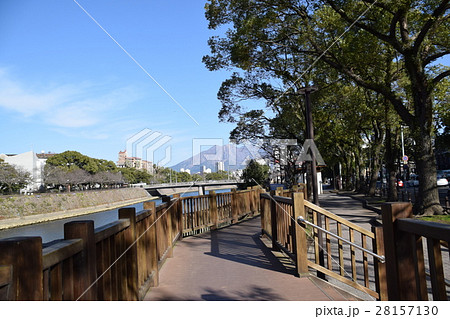 桜島（甲突川河畔から望む） 28157130