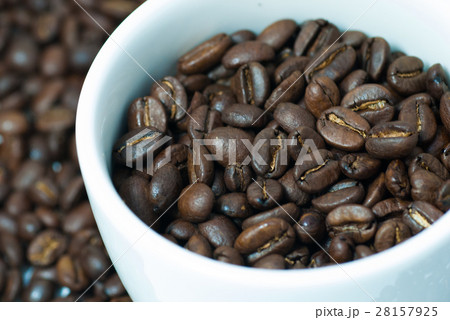 コーヒー豆 コーヒー豆 28157925