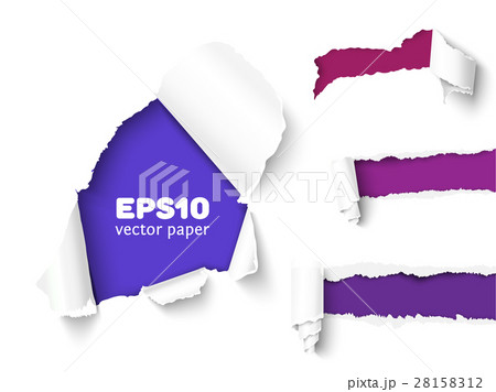 Collection of torn paper 28158312