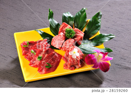 日本食 和食 日本料理 28159260