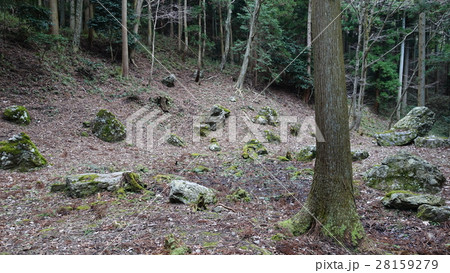 京極氏庭園跡（京極氏遺跡） 28159279