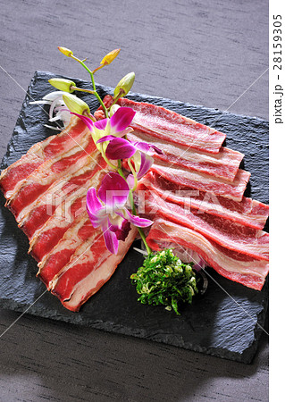 日本食 和食 日本料理 28159305