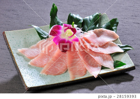 日本食 和食 日本料理 28159393