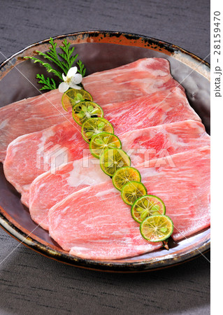 日本食 和食 日本料理 28159470