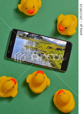 Yellow rubber ducks and smartphone concept Yellow rubber ducks and smartphone concept 28159619