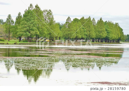 水辺の風景 28159780