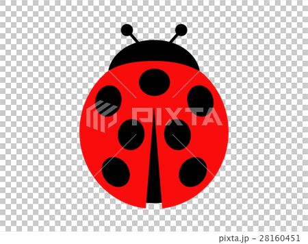 Ladybug Ladybug 28160451
